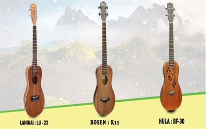 Top 3 Cây Đàn Ukulele Giá Rẻ Đẹp, Chất Lượng Tốt, Đáng Mua Nhất Hiện Nay